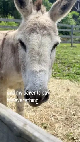 Instagram #0
